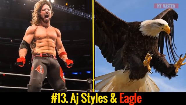 25 WWE SUPERSTARS vs KING ANIMAL 2020 - Who is the WWE KING? [HD] смотреть онлайн