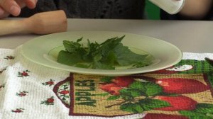 Как есть крапиву сырой? Салат из крапивы. Сыроедение. Рецепт. Правильное питание. Готовим дома