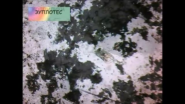 Жизнь в капле воды смотреть онлайн