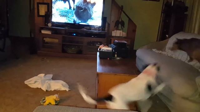 The pups cooped up inside смотреть онлайн