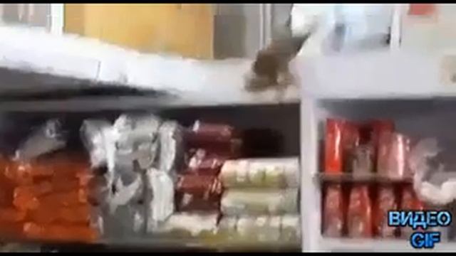Приколы 1.mp4 смотреть онлайн