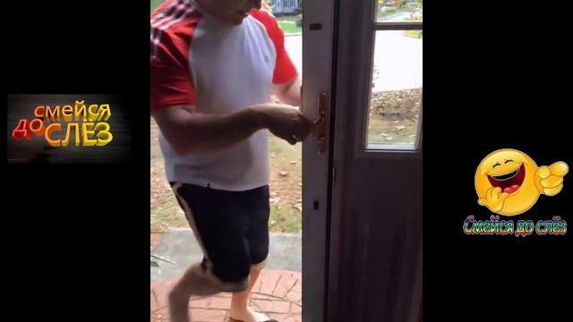 СВЕРХСПОСОБНОСТИ УМНОГО ПСА... смотреть онлайн