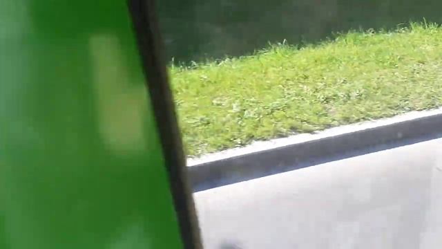 Поездка на ПТЗ-5283 по летнему Санкт-Петербургу... (13.08.22) смотреть онлайн