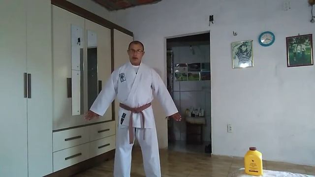 Karatê Quadril mod. 01 смотреть онлайн