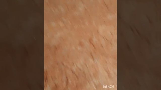 Как снять старый обои со стены ! смотреть онлайн