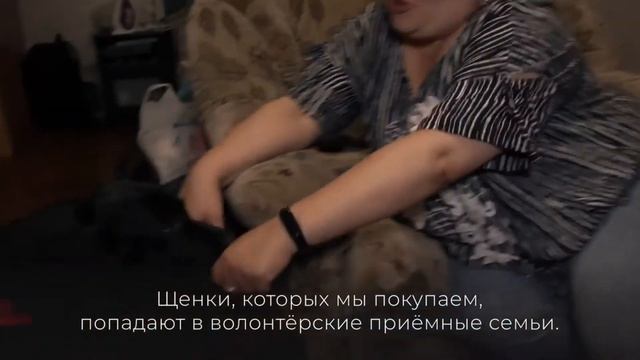 Если Вам нужна собака-проводник... // Учебно-Кинологический Центр "Собаки-помощники инвалидов" смотреть онлайн