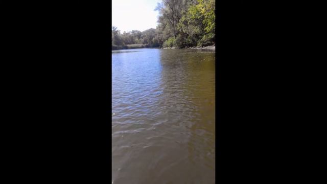 Соловьиная роща, ловля головля смотреть онлайн