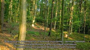 Альберта, Канада - чистейший воздух, дикие леса и горячие источники