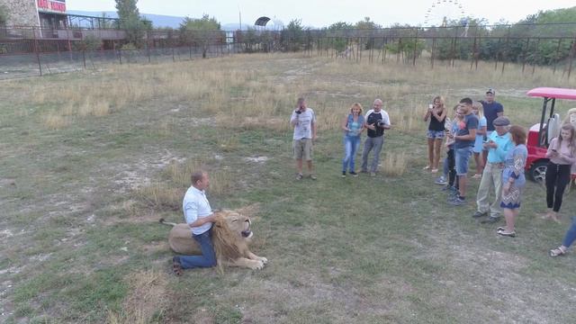 Вечерняя прогулка ко львам ! Крым -Тайган . Crimea - Taigan ! смотреть онлайн