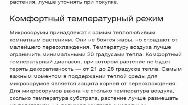 Микросорумы -- особенные папоротники. смотреть онлайн