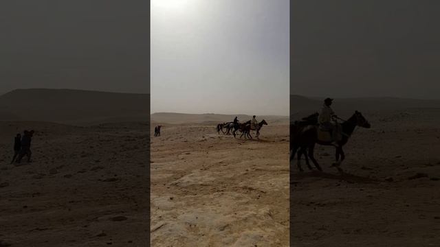 В долине Гиза смотреть онлайн