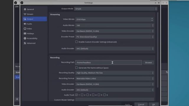 OBS Capture, Encoding, and Streaming Container Server using NVIDIA Quadro Card and @UnraidOS 6.12 смотреть онлайн