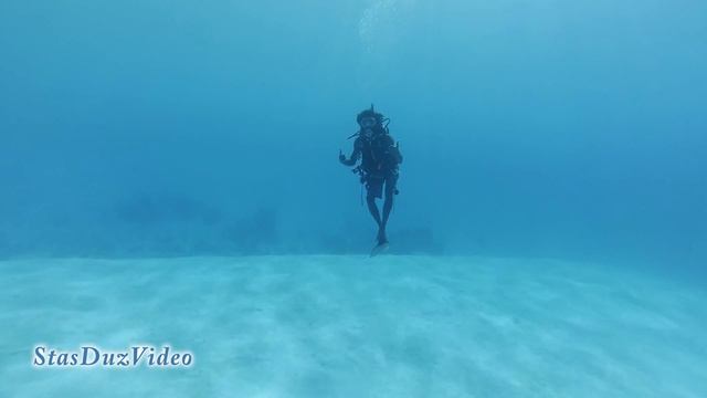 Diver's day смотреть онлайн