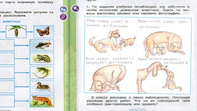Окружающий мир. Рабочая тетрадь 3 класс 1 часть. ГДЗ стр. 60 №4 смотреть онлайн