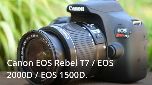 Top 5 Best Cameras for beginners - Best Beginners Camera in 2022 смотреть онлайн