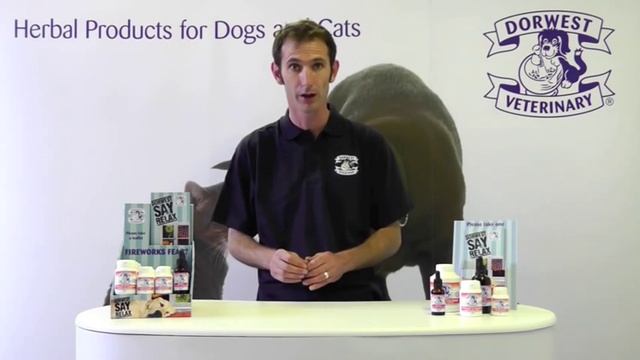 Calm your pet this firework night | Dorwest Herbs смотреть онлайн