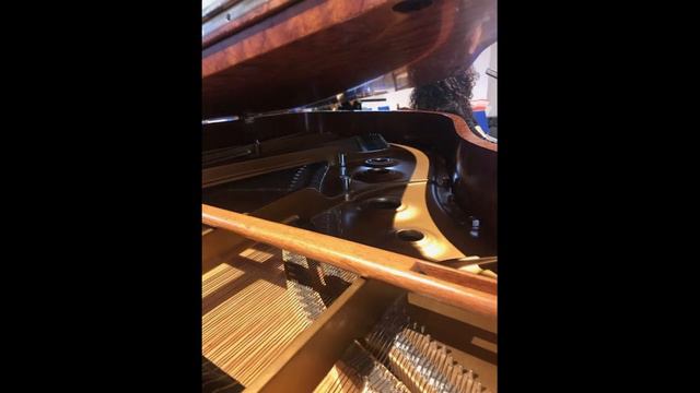 Sabrina Trojse - Etude (Chopin) смотреть онлайн