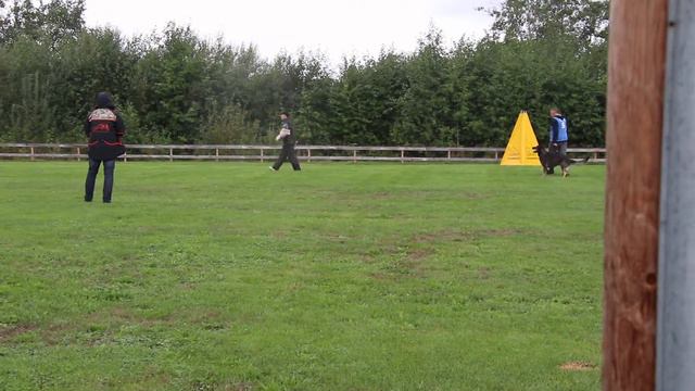 Trond Otter Johansen C смотреть онлайн