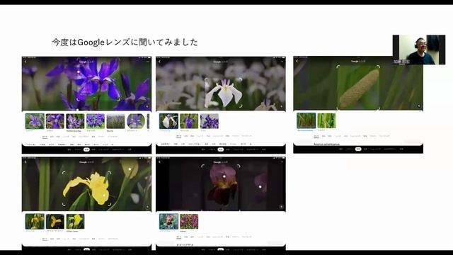 AI対決、いずれアヤメかカキツバタ(CHAT GPT/Stable Diffusion/Googleレンズ) смотреть онлайн