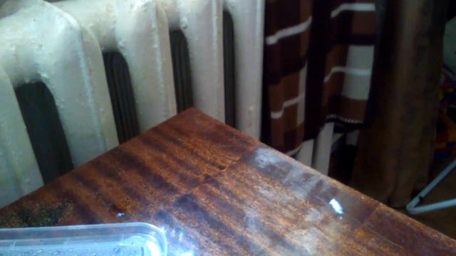 Всё про мои 2 животных улитятах и об моём волнистом попугае смотреть онлайн