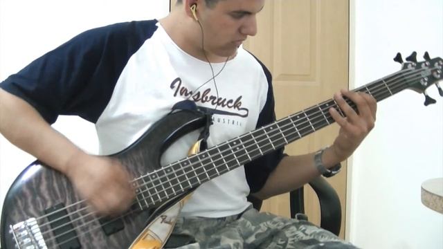 Fall Out Boy-Dance Dance Bass Cover смотреть онлайн