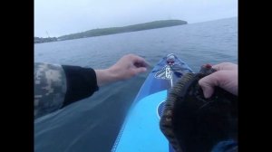 ловля камбалы на ультралайт с sup board