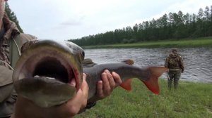 Таежные избы, рыбалка на тайменя и щуку на реках Якутии, ночевка в избушке ЧАСТЬ 2