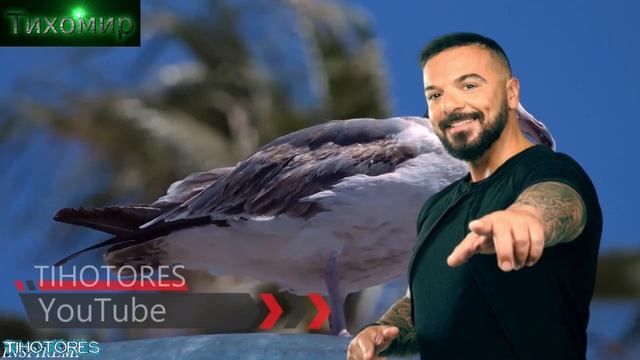 BG Превод ХИТ Triantafillos -  Se Pairno Gia Na Sou Po. Звъня ти за да ти кажа