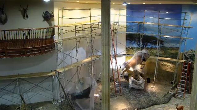 Eland Wall Mural Installation from GigaPan Image смотреть онлайн