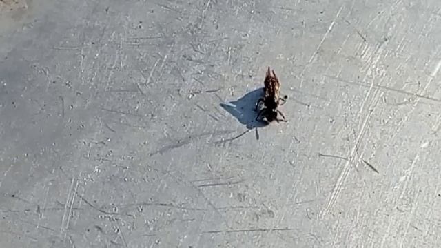 Вкусные блюда на любой вкус 