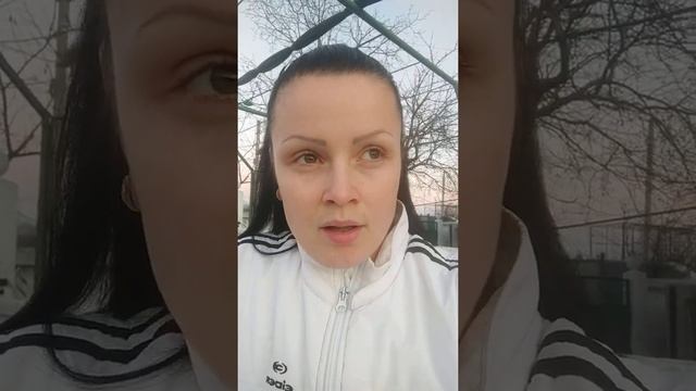 Выращивание тюльпана на 8 марта на гидропонике смотреть онлайн