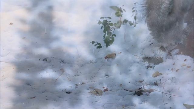 Relax Music For Sleep And Meditation - Snow/Релакс Музыка Для Сна И Медитации - Снег смотреть онлайн