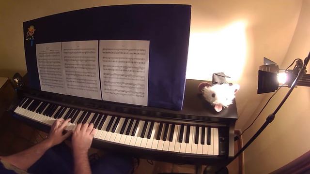 NieR: Automata - Pascal Village (Piano Cover) смотреть онлайн