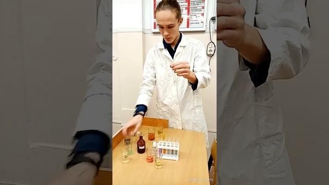 Качественные реакции на катионы и анионы смотреть онлайн