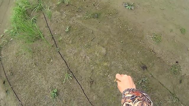 Охота на гуся. Goose hunting. Белолобый гусь и белощекая казарка. смотреть онлайн