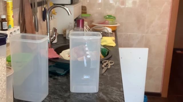 Закупка продуктов/пеку/ремонт окончен/заполняю емкости смотреть онлайн