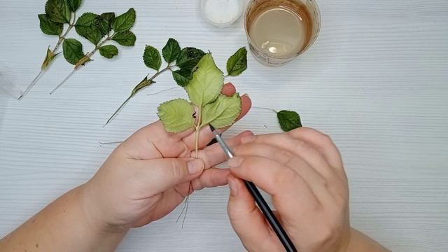 Мастер класс "Веточка листвы розы (шиповника)" смотреть онлайн