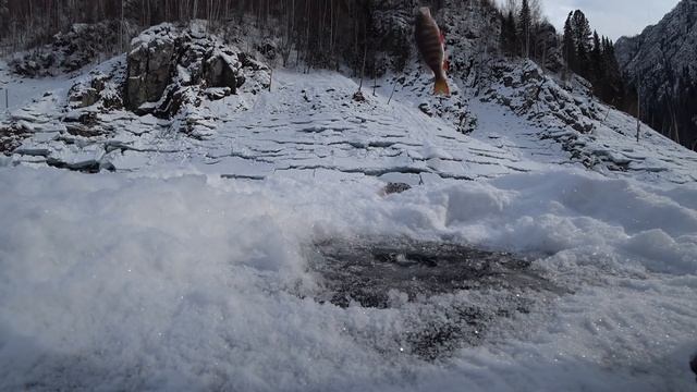 Хочу Каракат! Реальная рыбалка! смотреть онлайн