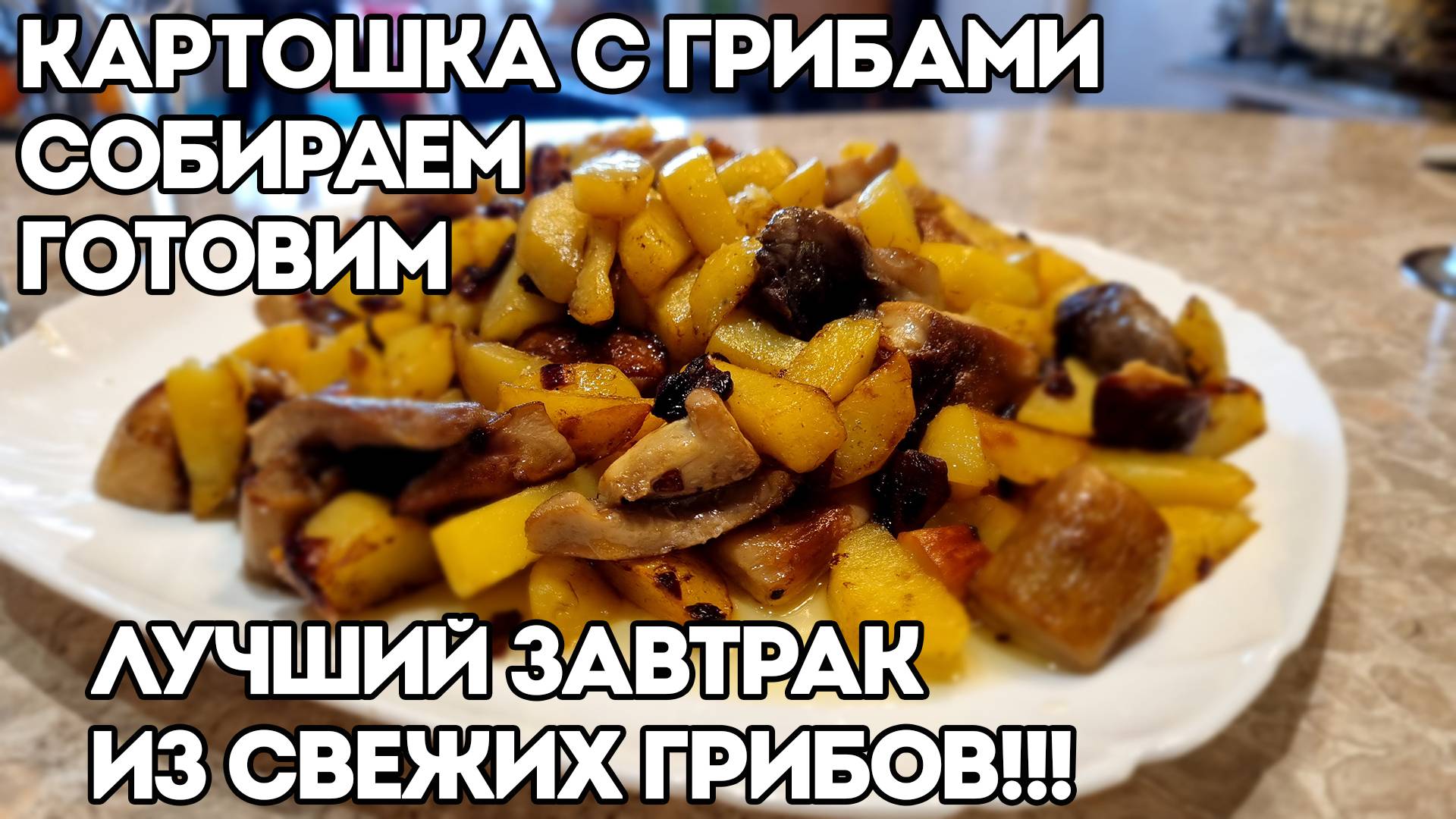 ПРОБЕЖАЛСЯ С УТРЕЦА ПО ОКРЕСТНОСТЯМ | НАБРАЛ ГРИБОЧКОВ НА ЖАРЁХУ | ЖАРЕНАЯ КАРТОШКА С ГРИБАМИ