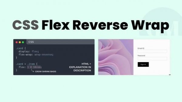 CSS Flex Reverse Wrap | HTML & CSS