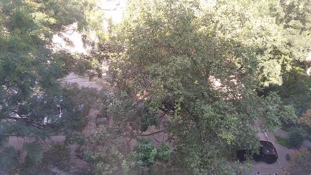 ЗАПОРОЖЬЕ ИЗ США ХОТЯТ ВЕРНУТЬСЯ В ЗАПОРОЖЬЕ 22.08.23 смотреть онлайн