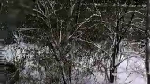 Минск Логойский тракт ч2 смотреть онлайн