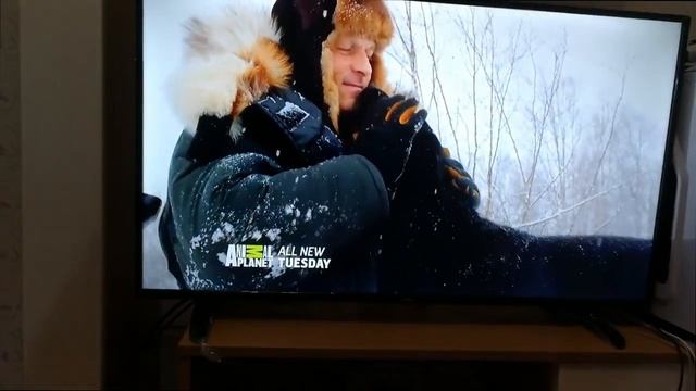 FOX TV LED40'' Full HD jeftina varijanta, Cheapest TV смотреть онлайн