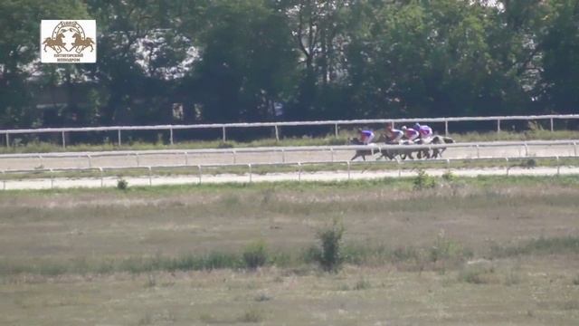 19.09.2020 - Кубок заводчиков арабской породы на жеребцах 2-х лет - Аккорд Терск смотреть онлайн