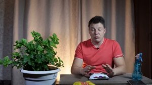 сульфат магния чудесное удобрение все о дозах способах внесения и дозировках которые применяю я у с