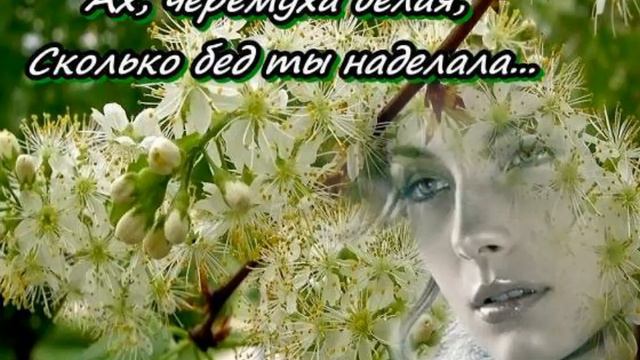 Ах, черёмуха белая... смотреть онлайн