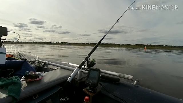 Рыбалка в Архангельской области - осень . смотреть онлайн