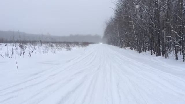 Arctic Cat Z1 NOT STOCK смотреть онлайн