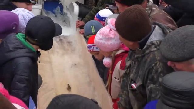 10000 мальков запустили в Верхошижемский пруд 25.10.2015. смотреть онлайн