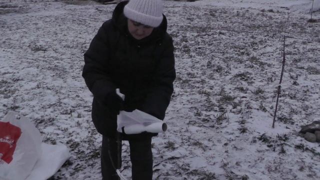 #84 УКРЫТИЕ НА ЗИМУ ПЛОДОВЫХ ДЕРЕВЬЕВ И ДЕКОРАТИВНЫХ КУСТАРНИКОВ. смотреть онлайн